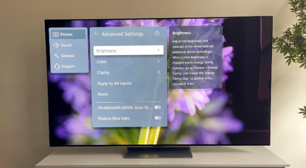 LG G3 OLED TV (9).png