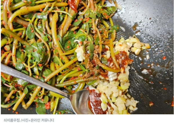 길거리 잡초 생명 (2).jpg